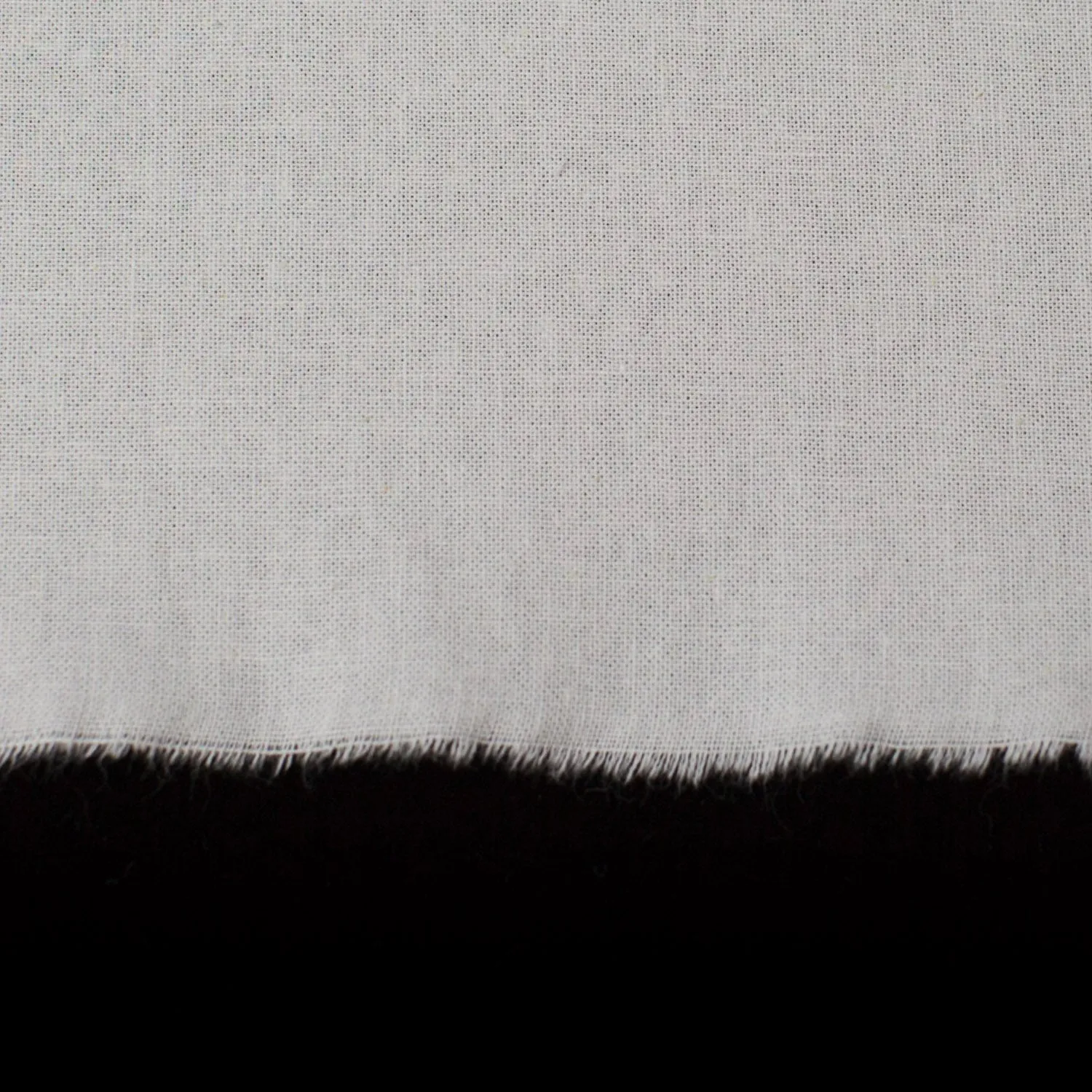 Fabric - Cotton Organic Heavyweight