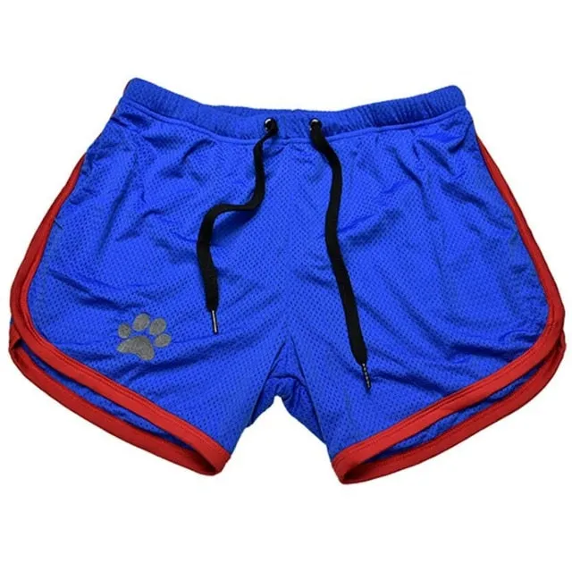 Fitness/Bodybuilding Breathable Boutique Shorts