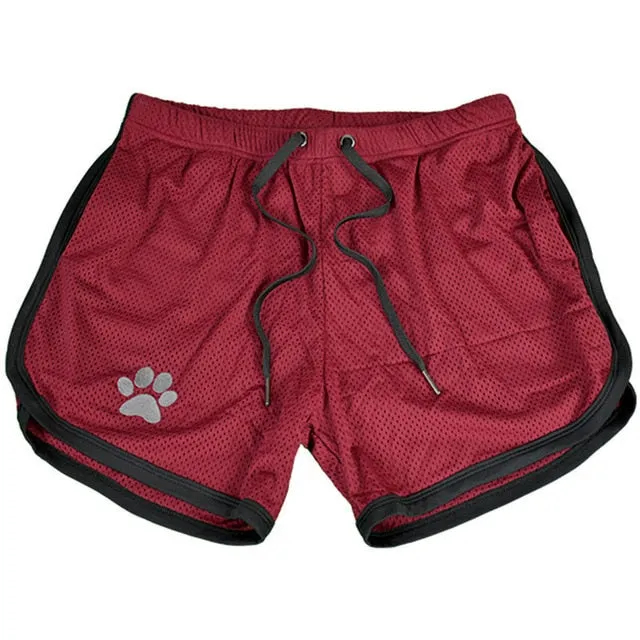 Fitness/Bodybuilding Breathable Boutique Shorts