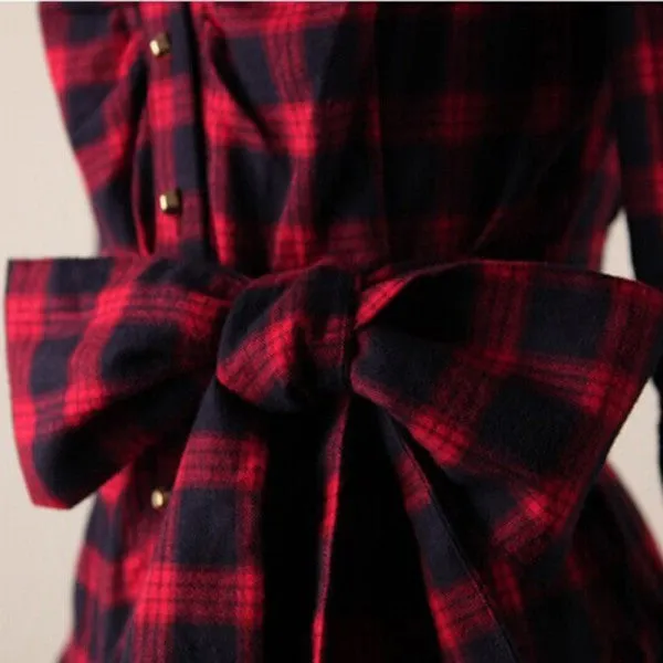 Long Sleeved Turn-Down Collar Dress