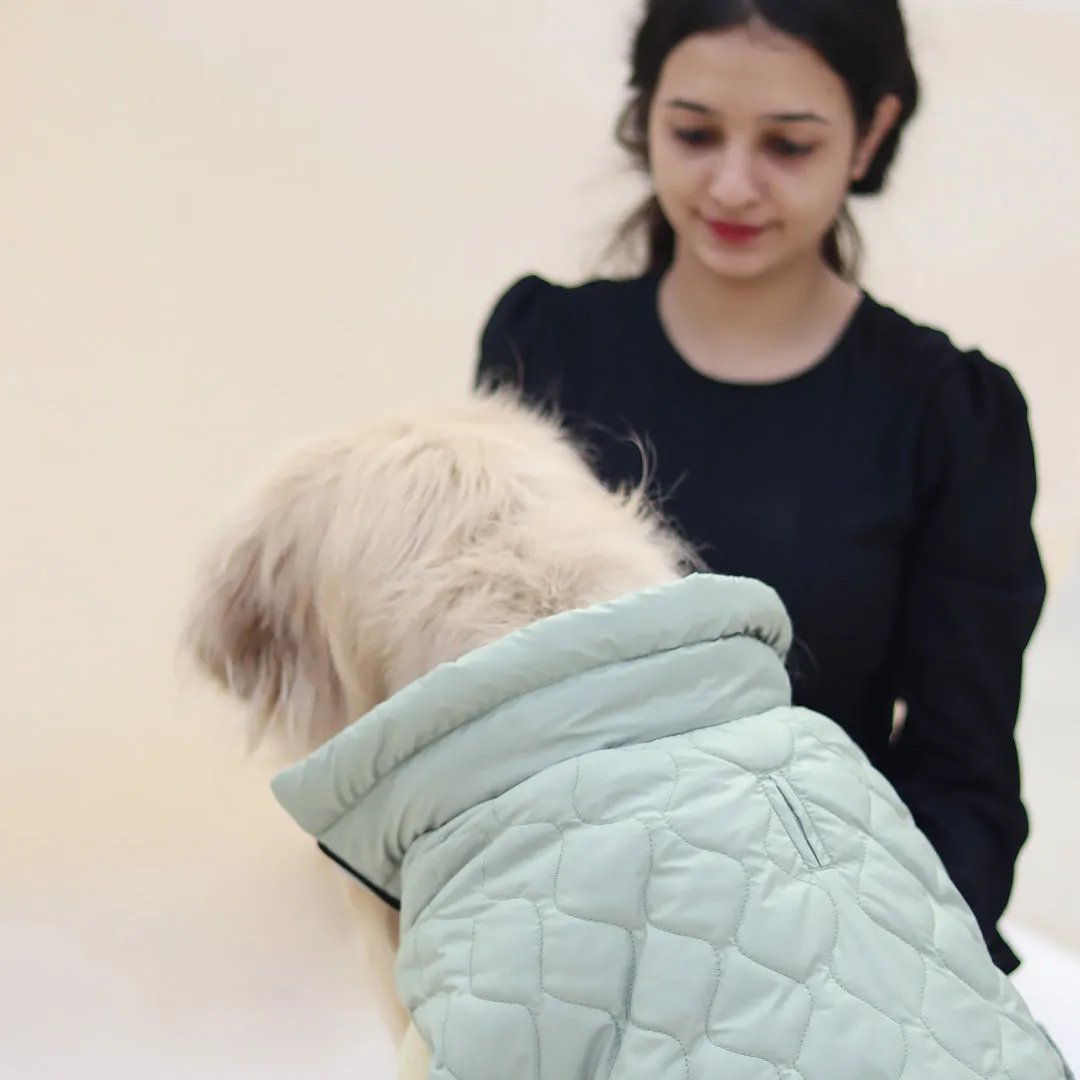 New Quilted Dog jacket Pistache