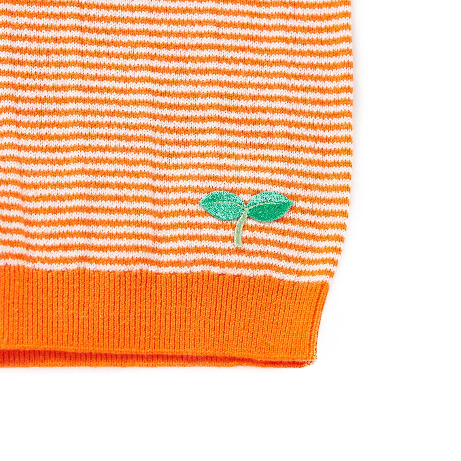 Ribbing Shorts Orange